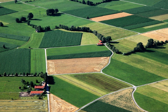 Voralpenland Felder DSC_7704 Kopie E.jpg